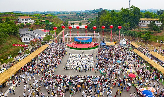 02 九洪西瓜節(jié)開幕式成景.jpg