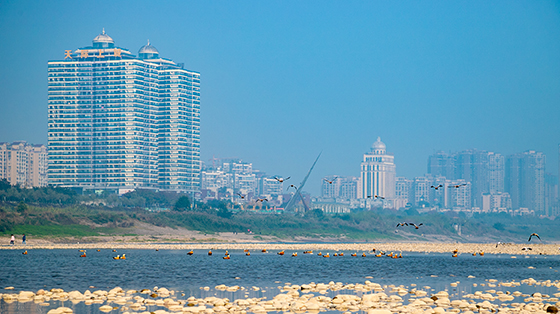 南溪區(qū)長江岸邊一景（肖嵐心 攝）.jpg