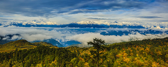 3 王崗坪_全景圖.jpg