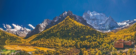 4 金秋的亞?。◤埩?攝 四川 成都）.jpg