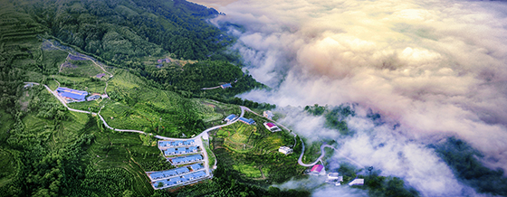 3 福來村茶山脫貧建新居.jpg