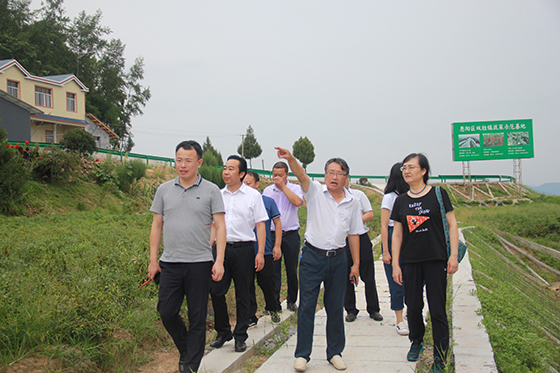 恩陽區(qū)雙勝鎮(zhèn)黨委書記廖泓宇（右二）介紹蘆筍發(fā)展情況.JPG