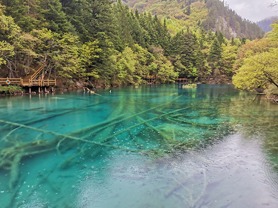 重建后的九寨溝美景一角 盧錦根攝.jpg