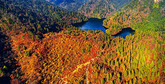 九寨溝縣甲勿池景點(diǎn)  楊東波 攝.jpg