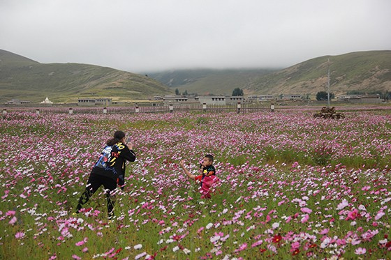 游客在色拉花海拍照留念  周淼葭攝.JPG