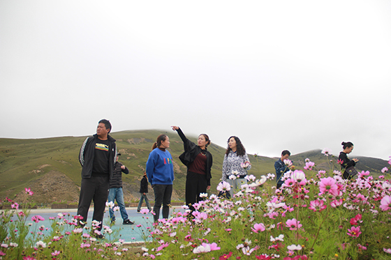 稻城縣噶通鎮(zhèn)黨委副書記巨拉姆（左三）介紹色拉花海帶動(dòng)附近村鎮(zhèn)百姓增收情況  周淼葭 攝.JPG