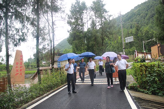 四川省社會(huì)科學(xué)院調(diào)研組一行在華山村調(diào)研.JPG
