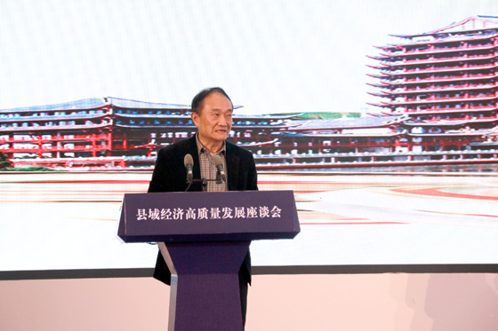 3 四川省政協(xié)副主席、民盟四川省委主委、省縣域經(jīng)濟學會高級顧問趙振銑.JPG