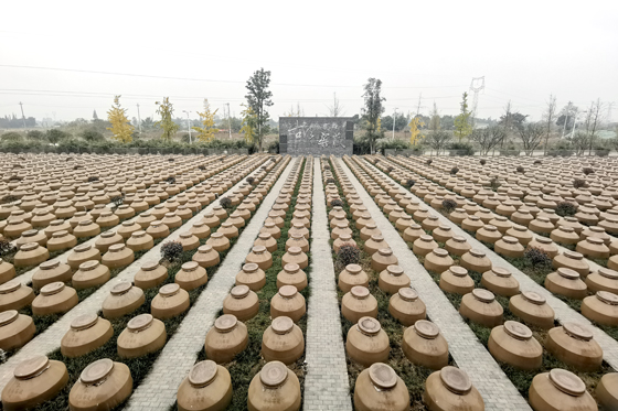 17 千禾味業(yè)食品股份有限公司.jpg