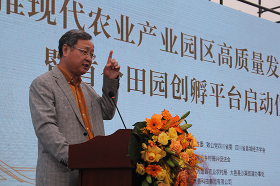 清華大學中國農(nóng)村研究院副院長、農(nóng)業(yè)農(nóng)村部原農(nóng)村經(jīng)濟體制與經(jīng)營管理司司長張紅宇  盧錦根 攝.JPG