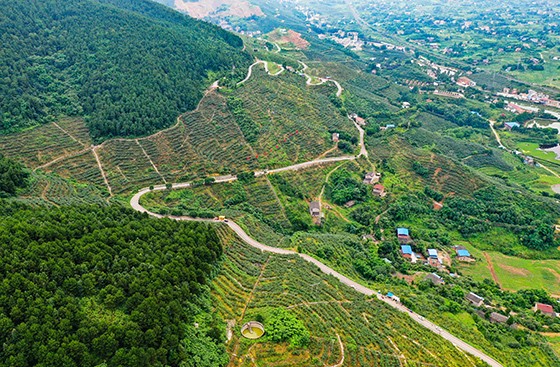 四川省華鎣市祿市鎮(zhèn)月亮坡村  邱海鷹 攝.JPG