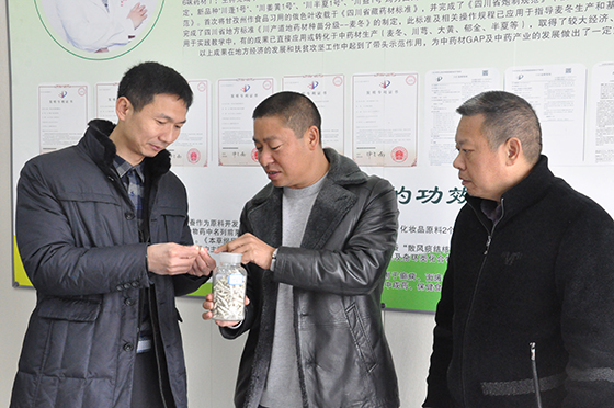 蔣錫武（中）向樂至縣委副書記李文波（左）介紹白僵蠶 潘興揚 攝.JPG