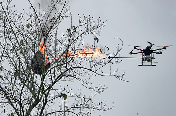2021年1月5日，四川省華鎣市的義工在明月鎮(zhèn)帶著燒除馬蜂窩的“噴火無(wú)人機(jī)”走村串戶,為村民消除懸在頭上的安全隱患  邱海鷹 攝.JPG