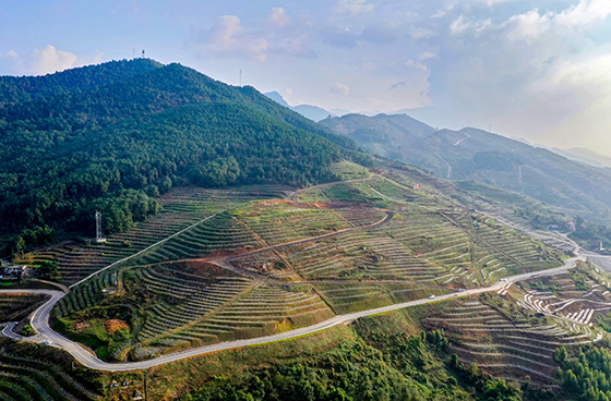 四川華鎣“坡改梯”  讓荒山荒坡變果園  邱海鷹&nbsp; 攝.JPG