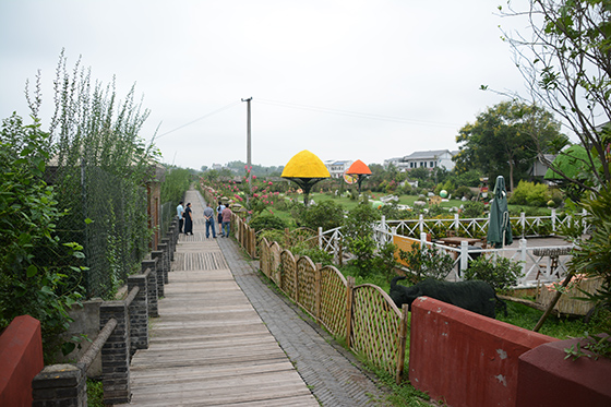 四川武勝縣白坪—飛龍鄉(xiāng)村旅游度假區(qū)  車文斌 攝.JPG