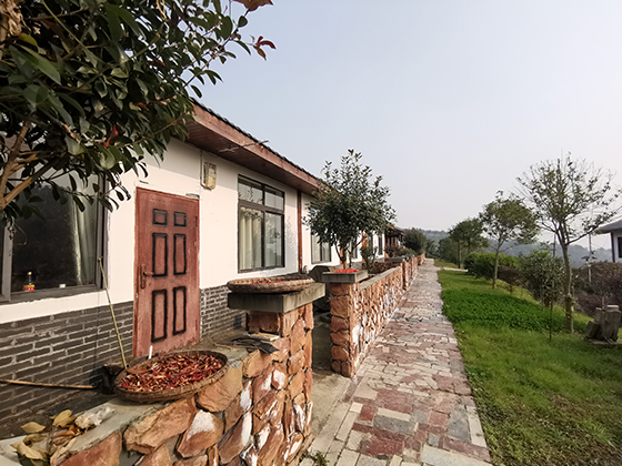 榮縣旭陽鎮(zhèn)馬石村的農(nóng)民新居  周淼葭攝.jpg