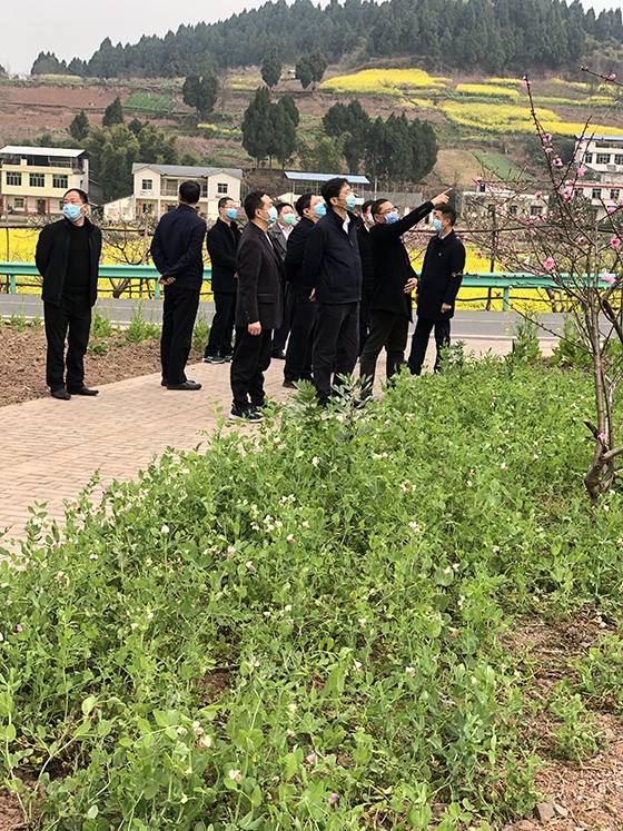 四川遂寧市委書記邵革軍（前排右三）率隊調研大英縣卓筒井鎮(zhèn)為干屏村鄉(xiāng)村振興工作.jpg