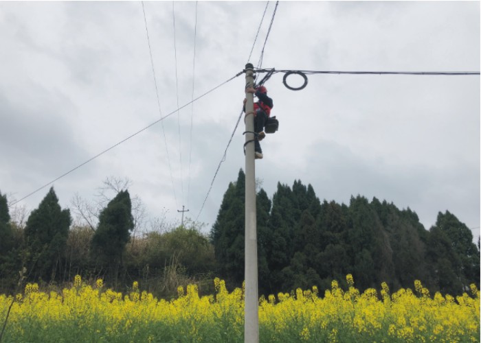 肖勇軍在檢查主干桿路 （樂(lè)至融媒記者 唐西蘭 攝）.jpg