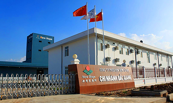 海外布局養(yǎng)豬的新希望集團(tuán)  牧食記  攝.jpg