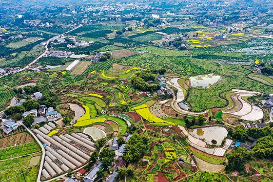 四川省武勝縣“白坪——飛龍”新農(nóng)村示范區(qū), 在錦繡田園和農(nóng)民新居及路網(wǎng)的襯托下，生機(jī)盎然，如詩(shī)如畫(huà)邱海鷹  攝.JPG