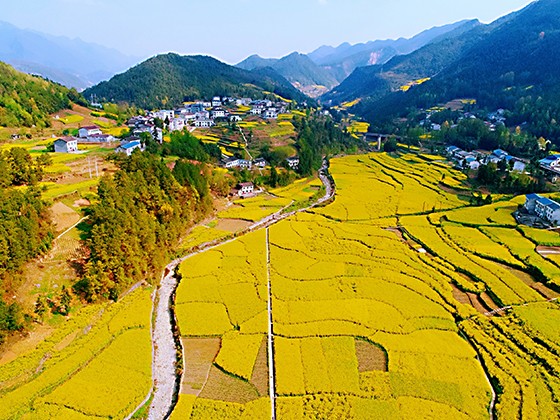 四川萬源市貓兒壩村  萬源市委宣傳部供圖.jpg