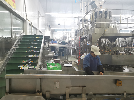 吉香居生產(chǎn)泡菜流水線  .jpg