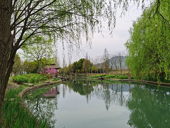 滕頭村園林景觀.jpg