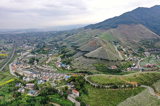 四川廣安三月鄉(xiāng)村入畫來  邱海鷹 攝.JPG