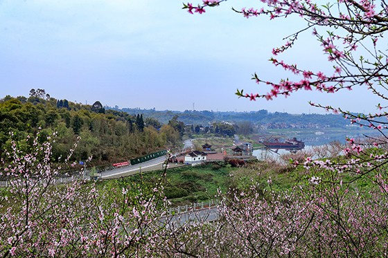 3月8日，四川省廣安華鎣市明月鎮(zhèn)在脫貧攻堅(jiān)中發(fā)展起來的“渠江畫廊” 邱海鷹 攝.JPG