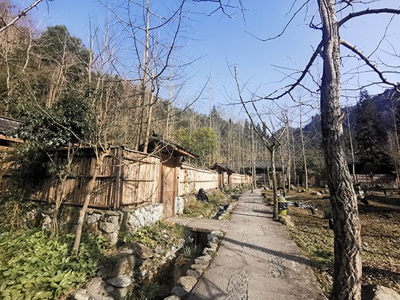 民宿與自然融為一體  周淼葭攝.jpg