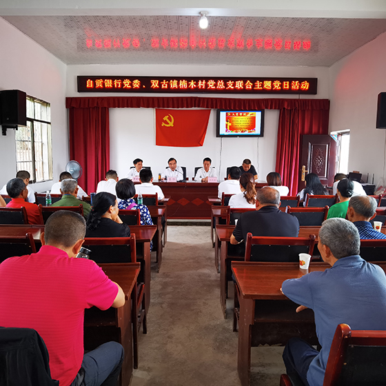 3 榮縣雙古鎮(zhèn)楠木村開(kāi)展主題黨日活動(dòng).jpg