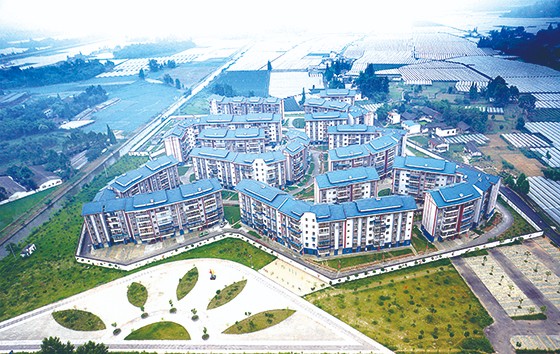 以葡萄種植為主業(yè)的彭山區(qū)觀音鎮(zhèn)果園新村  眉山市彭山區(qū)委宣傳部供圖.jpg