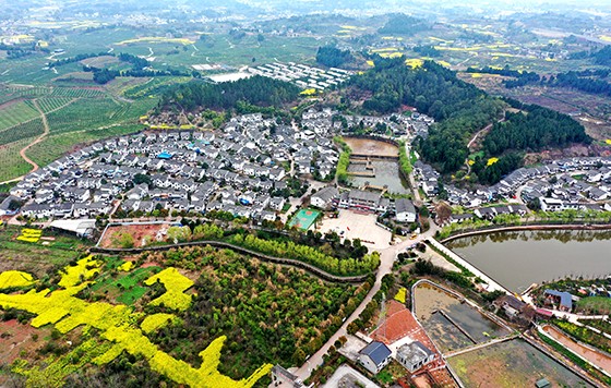 產(chǎn)村相融的仁壽美麗鄉(xiāng)村  潘建勇 攝.jpg