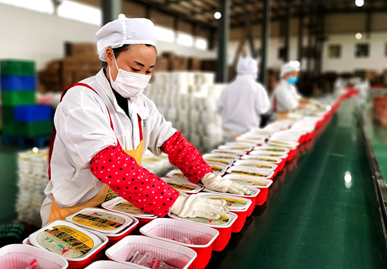 返鄉(xiāng)創(chuàng)業(yè)企業(yè)生產(chǎn)現(xiàn)場  潘建勇 攝.jpg