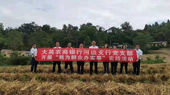 2大英農商銀行黨委帶領河邊支行黨支部到河邊鎮(zhèn)雙石村幫助脫貧戶收割小麥.png