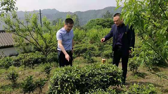 1屏山農(nóng)商銀行黨委書(shū)記朱成剛同志到大乘鎮(zhèn)走訪調(diào)研金融服務(wù)鄉(xiāng)村振興工作.jpg