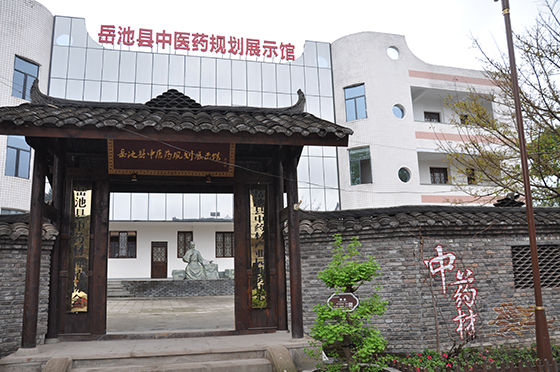 3 岳池縣中醫(yī)藥規(guī)劃展示館  黃世濤　攝.JPG