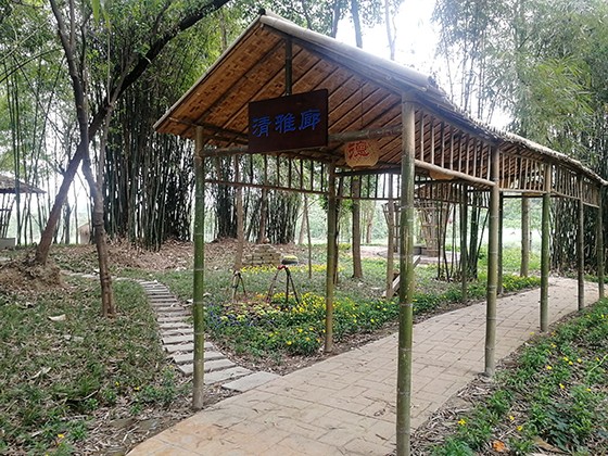 向陽鎮(zhèn)在龔家院子打造川西林盤風(fēng)光  黃世濤 攝.jpg