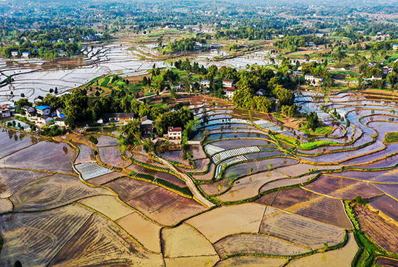 四川省廣安市廣安區(qū)鄉(xiāng)村一景  張國盛 攝.jpg
