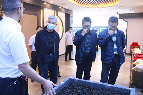 負(fù)責(zé)人向調(diào)研組介紹烏梅種植情況  周淼葭 攝.JPG