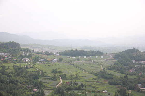 通川區(qū)萬(wàn)畝藍(lán)莓產(chǎn)業(yè)園  周淼葭 攝.JPG