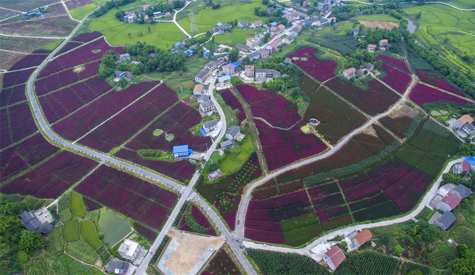 QQ圖片20210824142124 - 副本.jpg