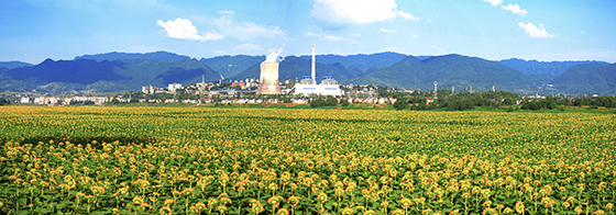 四川省渠縣特色農(nóng)產(chǎn)品園區(qū)基地  渠縣縣委宣傳部供圖.jpg