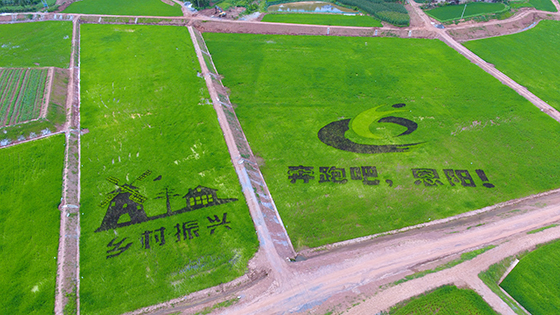 四川省巴中市恩陽區(qū)現(xiàn)代農(nóng)業(yè)園區(qū)一角  巴中市農(nóng)業(yè)農(nóng)村局供圖.JPG