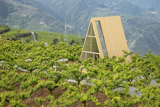 5 汶川縣大力發(fā)展生態(tài)康養(yǎng)產(chǎn)業(yè)，民宿成為一張靚麗名片.jpg