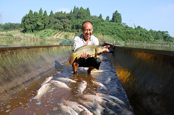 3展示“生態(tài)魚” .jpg