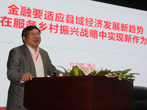 中國縣鎮(zhèn)經濟交流促進會會長、中國社科院農村發(fā)展研究所黨委書記、博士生導師杜志雄演講.JPG