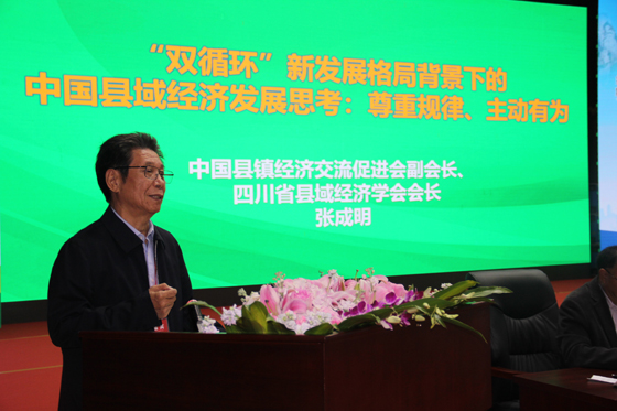 中國縣鎮(zhèn)經濟交流促進會副會長、四川省縣域經濟學會會長張成明專題演講.JPG