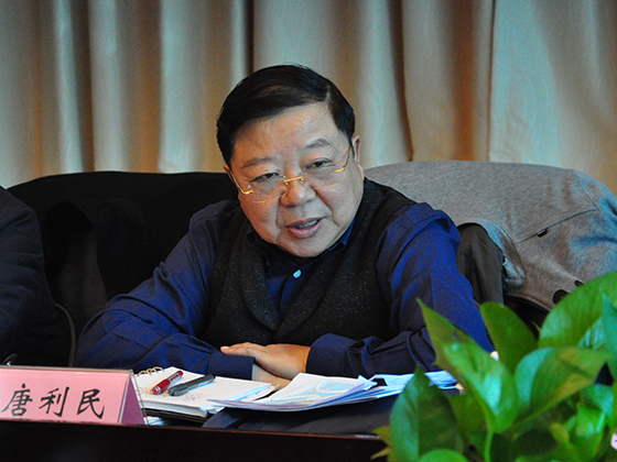 2.四川省委省政府決咨委副主任唐利民出席會議并講話.JPG