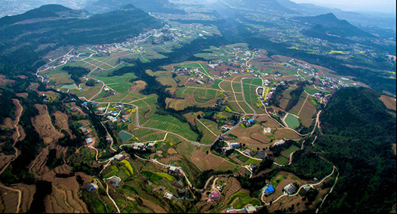 四川省蒼溪縣雙龍萬畝現(xiàn)代農(nóng)業(yè)園區(qū)  蒼溪縣政府辦供圖.jpg